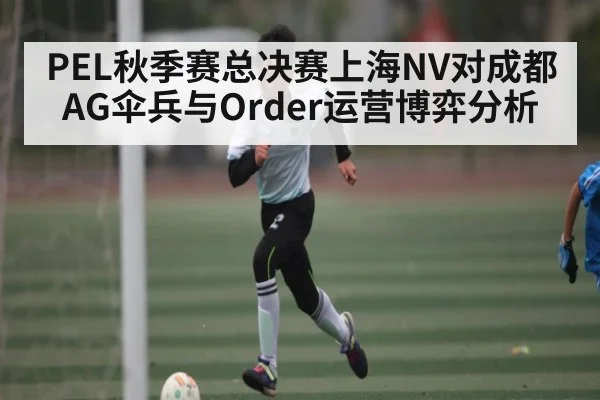 PEL秋季赛总决赛上海NV对成都AG伞兵与Order运营博弈分析